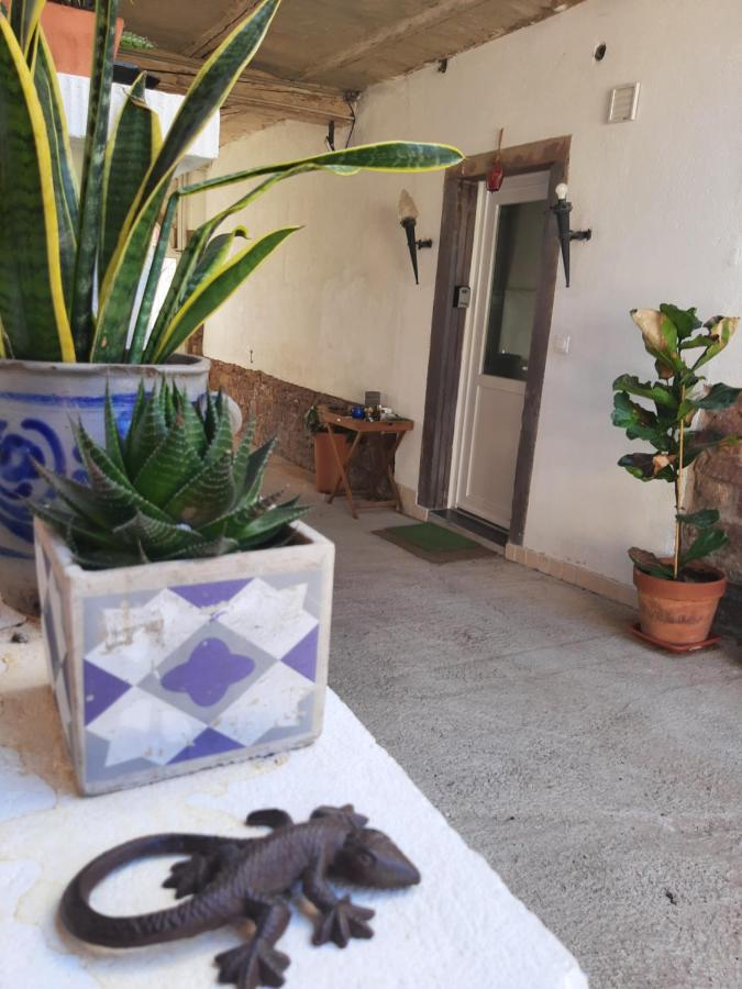 Studio Tout Confort 2 Personnes Au Coeur De L'Alsace Wolxheim 외부 사진