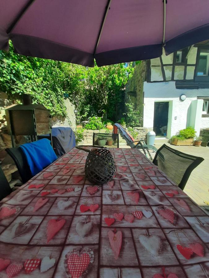 Studio Tout Confort 2 Personnes Au Coeur De L'Alsace Wolxheim 외부 사진