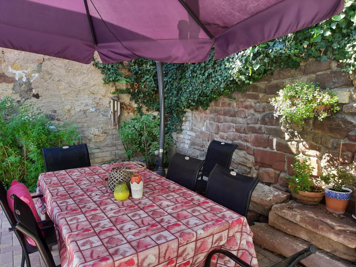 Studio Tout Confort 2 Personnes Au Coeur De L'Alsace Wolxheim 외부 사진