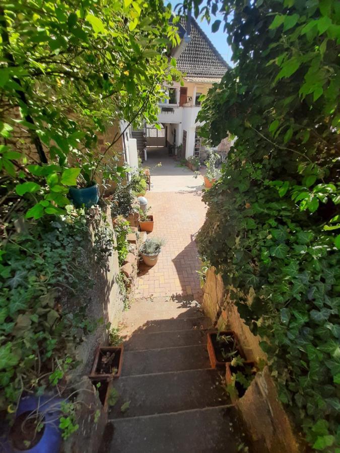 Studio Tout Confort 2 Personnes Au Coeur De L'Alsace Wolxheim 외부 사진