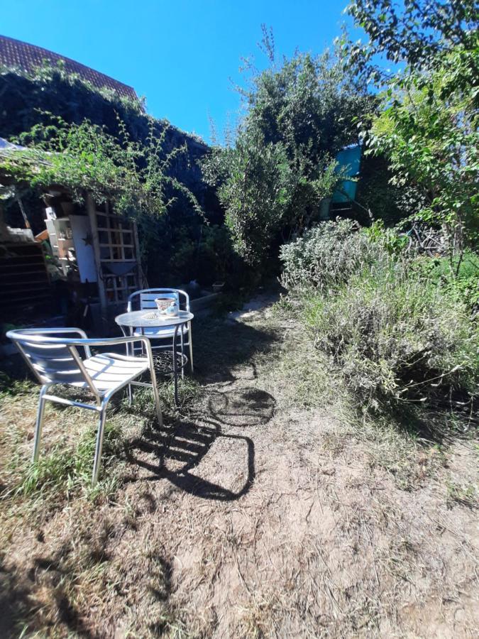 Studio Tout Confort 2 Personnes Au Coeur De L'Alsace Wolxheim 외부 사진