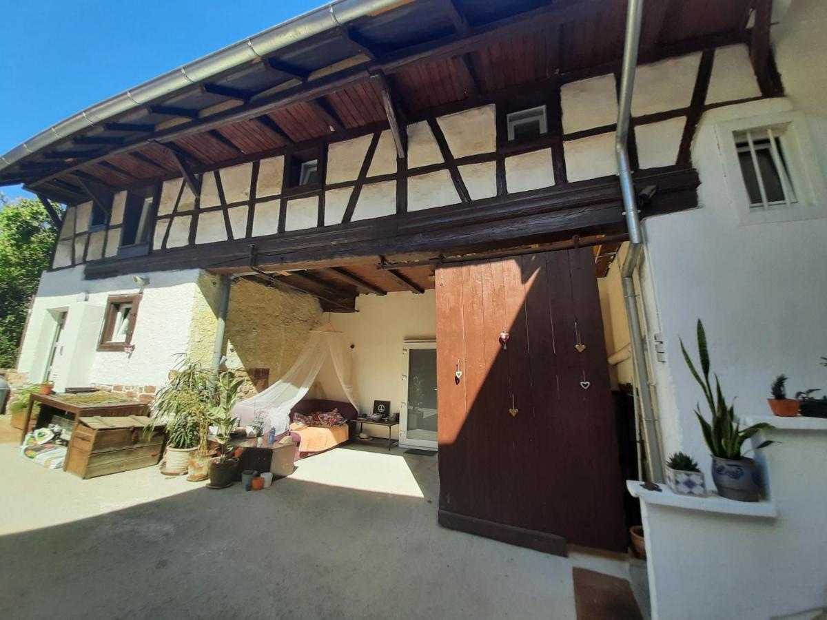 Studio Tout Confort 2 Personnes Au Coeur De L'Alsace Wolxheim 외부 사진