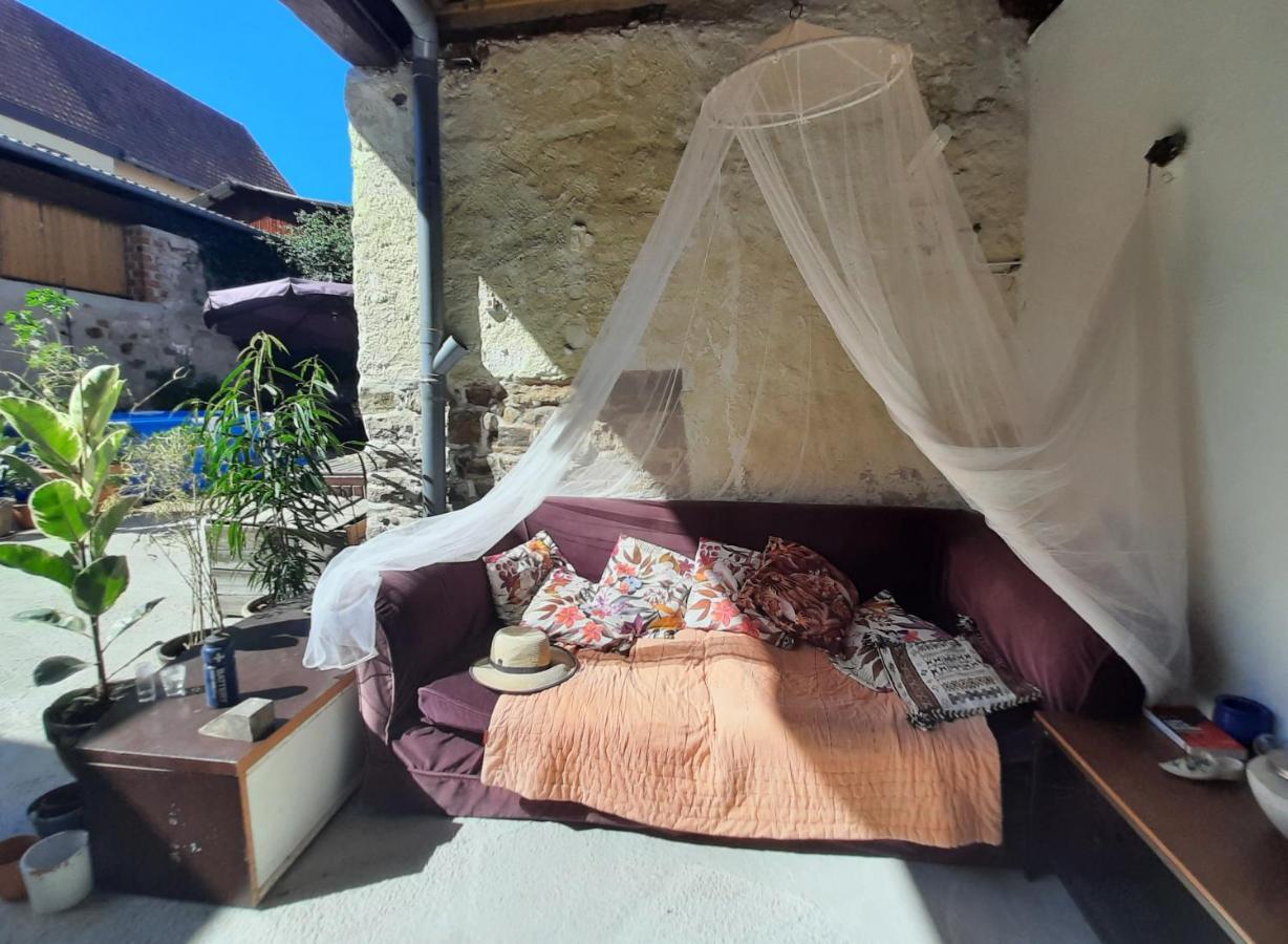 Studio Tout Confort 2 Personnes Au Coeur De L'Alsace Wolxheim 외부 사진