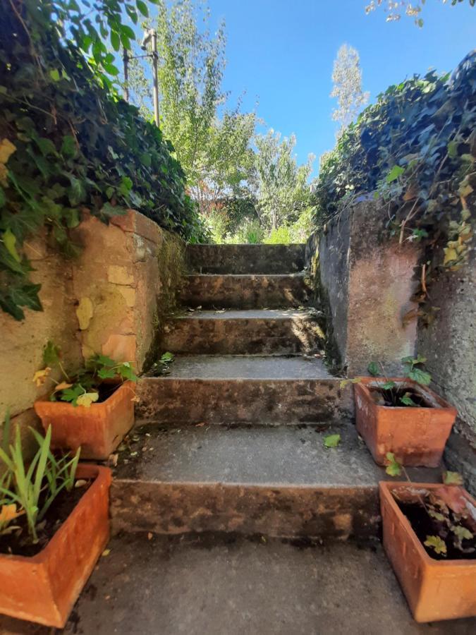 Studio Tout Confort 2 Personnes Au Coeur De L'Alsace Wolxheim 외부 사진