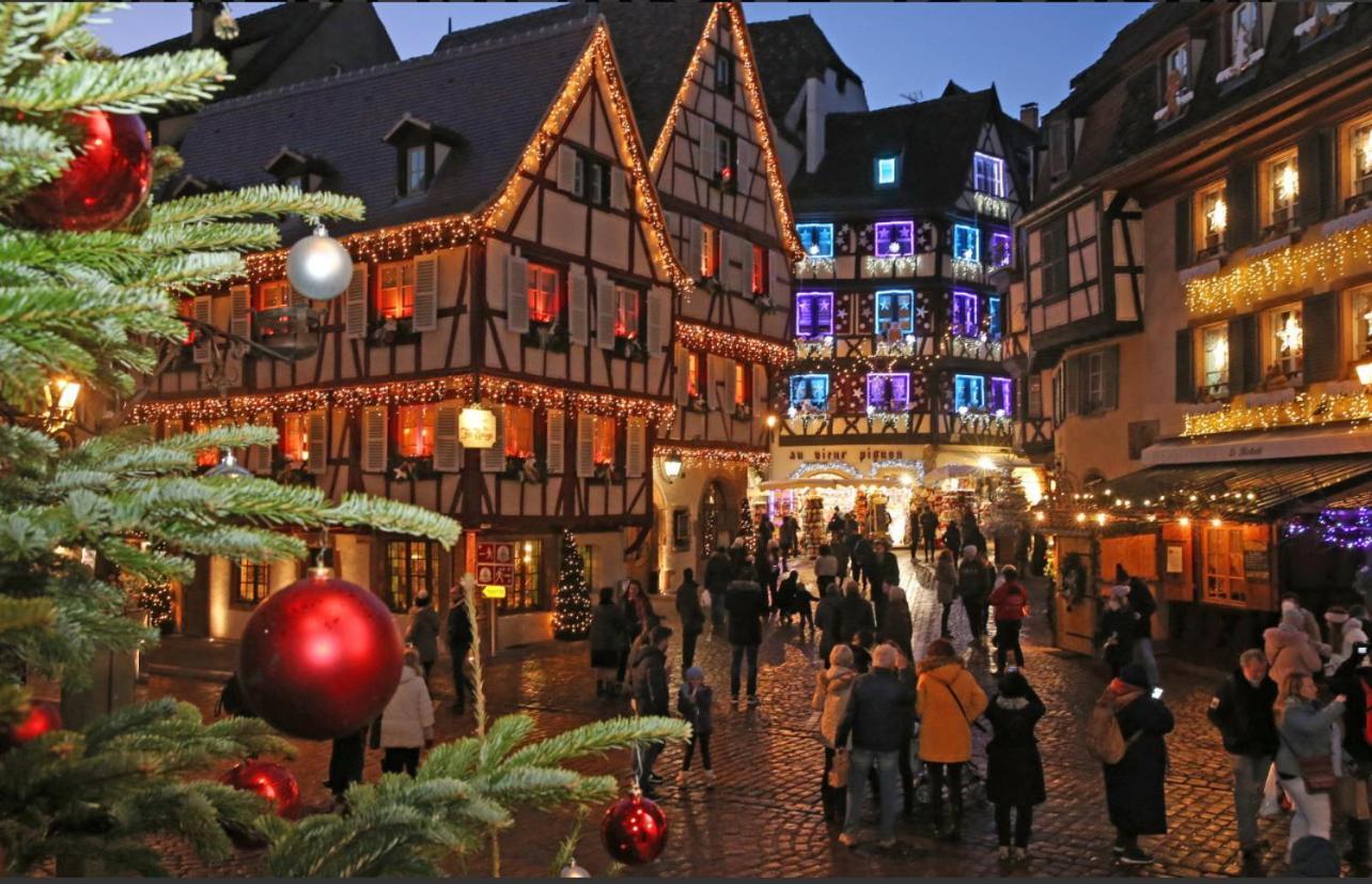 Studio Tout Confort 2 Personnes Au Coeur De L'Alsace Wolxheim 외부 사진