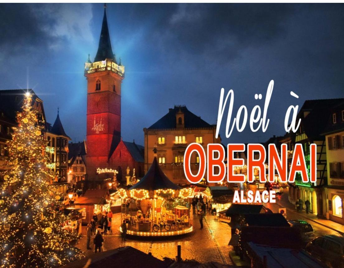 Studio Tout Confort 2 Personnes Au Coeur De L'Alsace Wolxheim 외부 사진