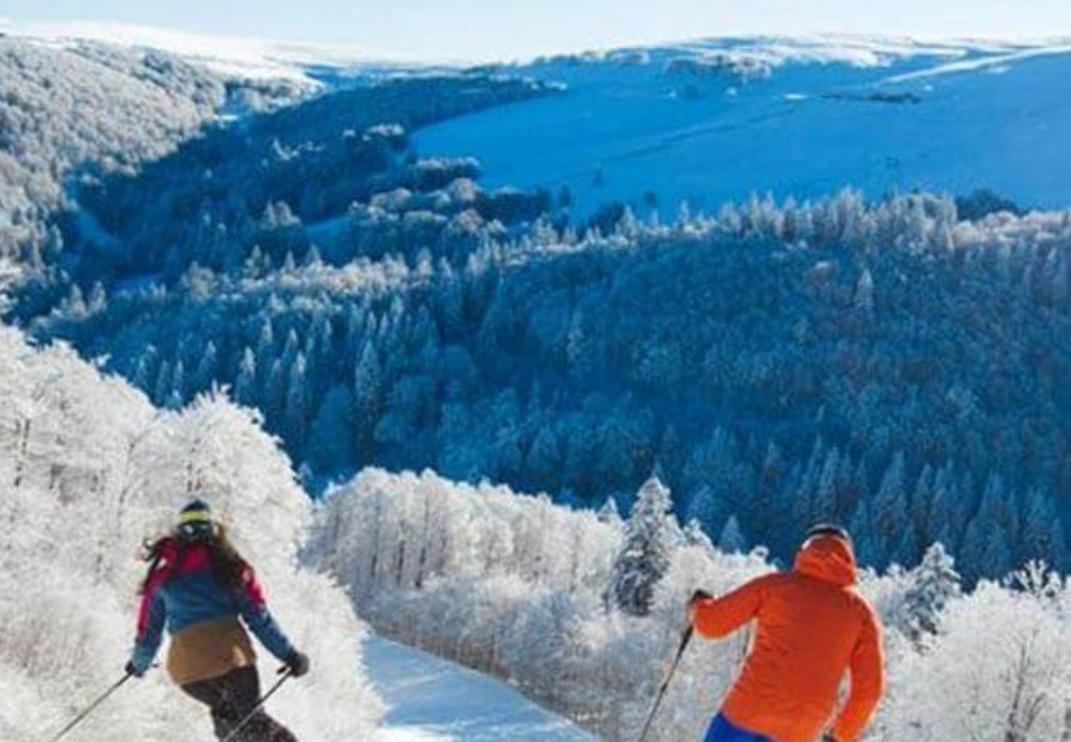 Studio Tout Confort 2 Personnes Au Coeur De L'Alsace Wolxheim 외부 사진