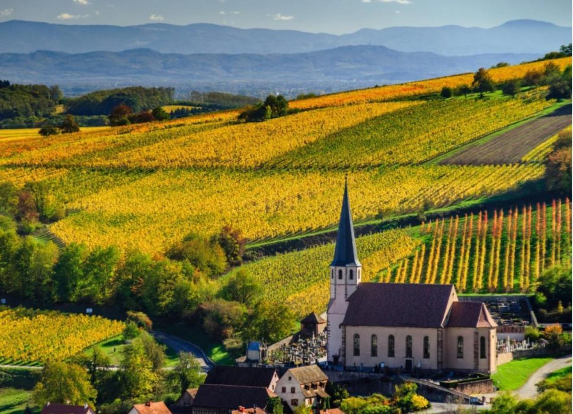 Studio Tout Confort 2 Personnes Au Coeur De L'Alsace Wolxheim 외부 사진