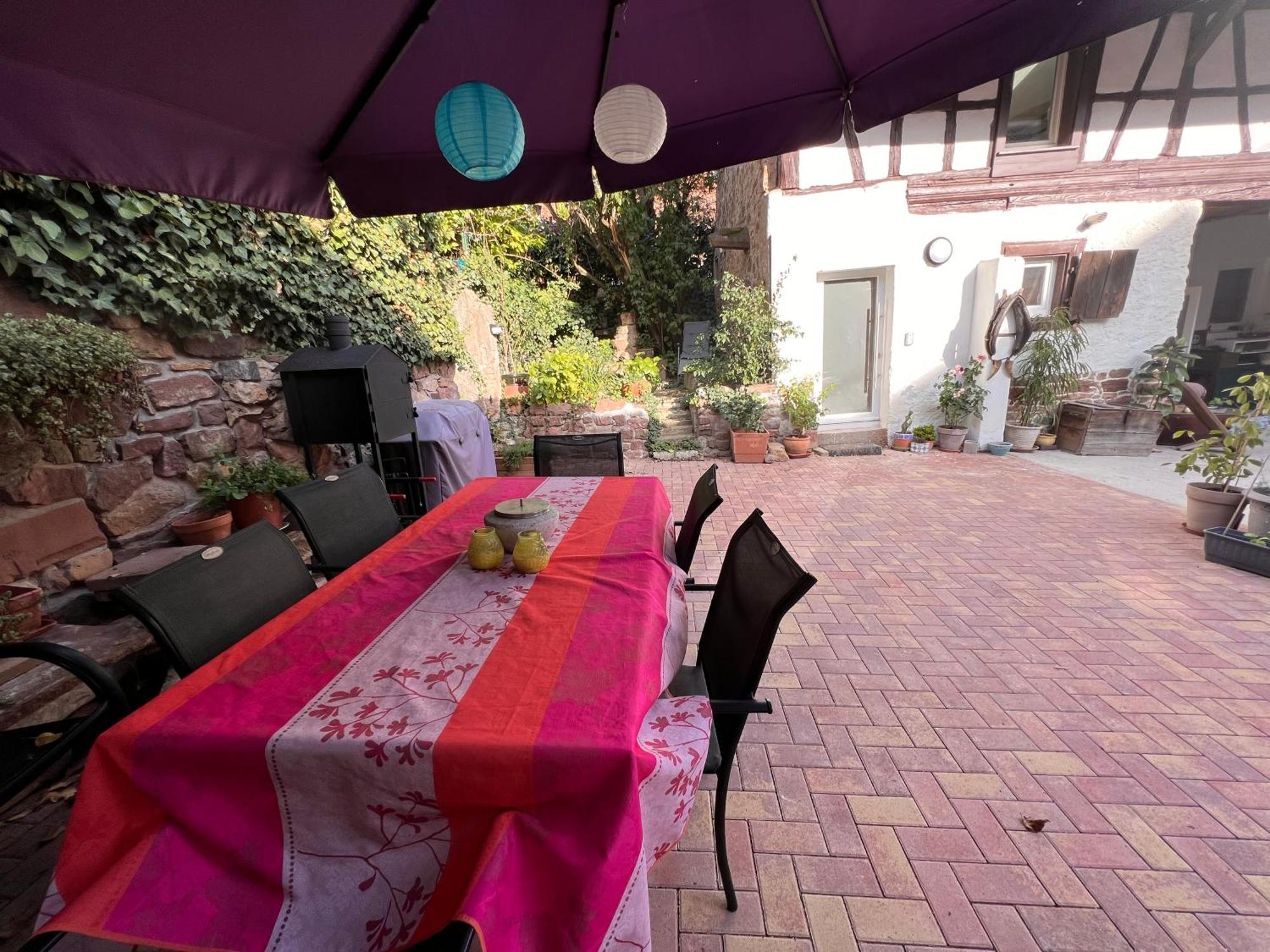 Studio Tout Confort 2 Personnes Au Coeur De L'Alsace Wolxheim 외부 사진