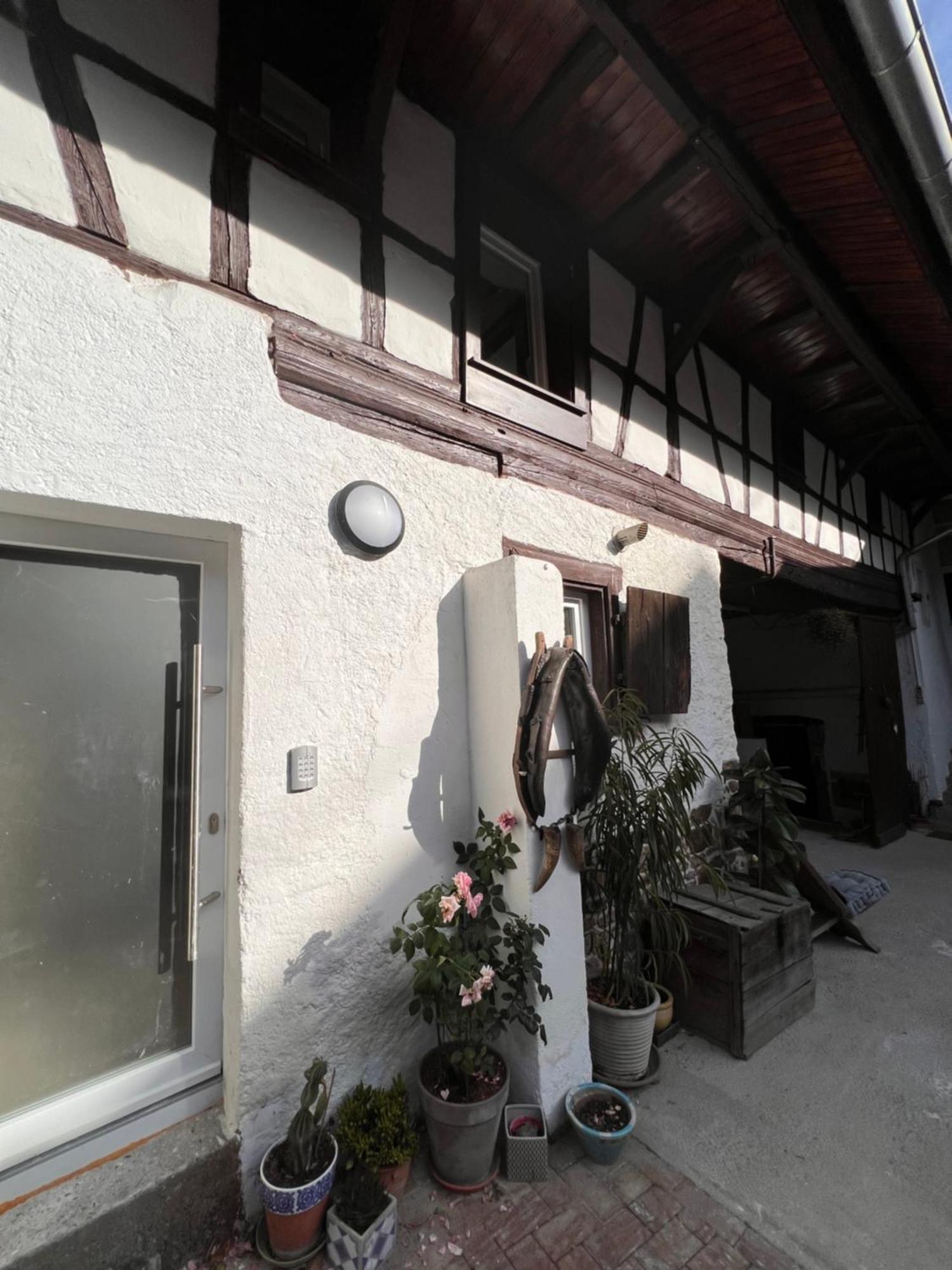 Studio Tout Confort 2 Personnes Au Coeur De L'Alsace Wolxheim 외부 사진