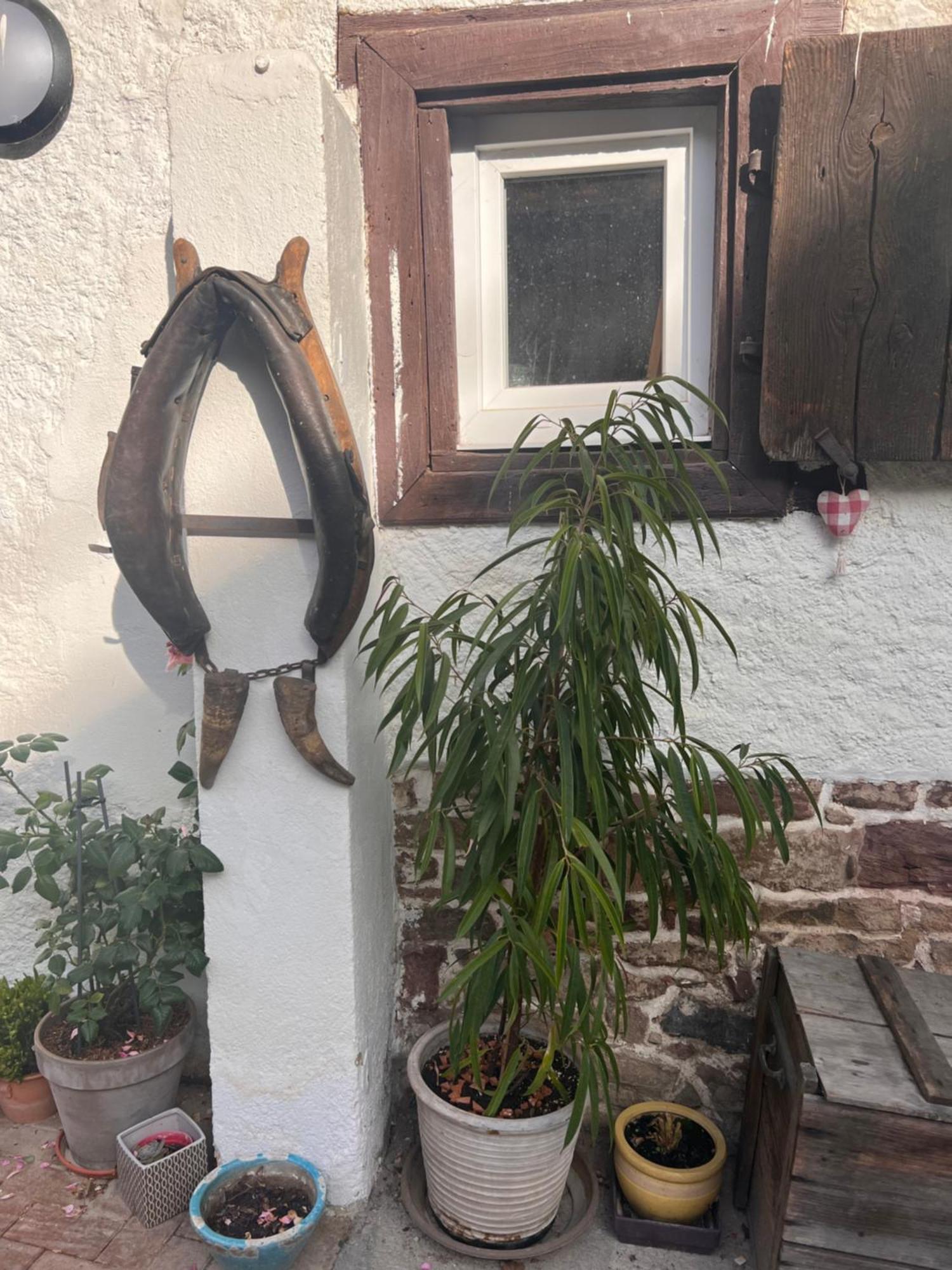 Studio Tout Confort 2 Personnes Au Coeur De L'Alsace Wolxheim 외부 사진