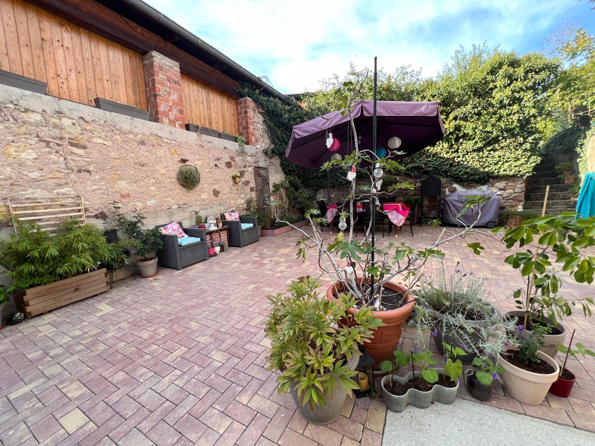 Studio Tout Confort 2 Personnes Au Coeur De L'Alsace Wolxheim 외부 사진